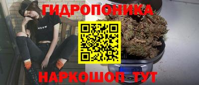 трава Пугачёв