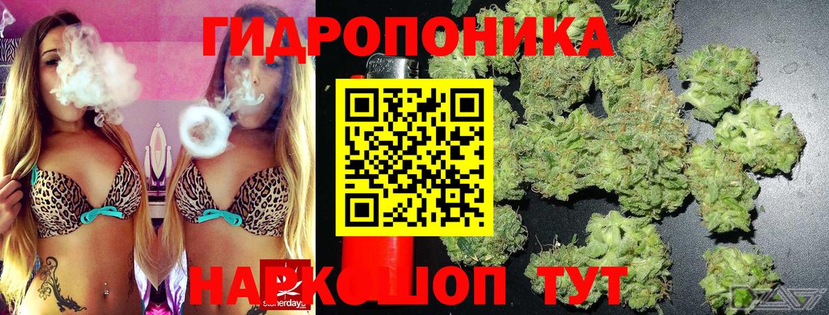 Канабис планчик Сердобск